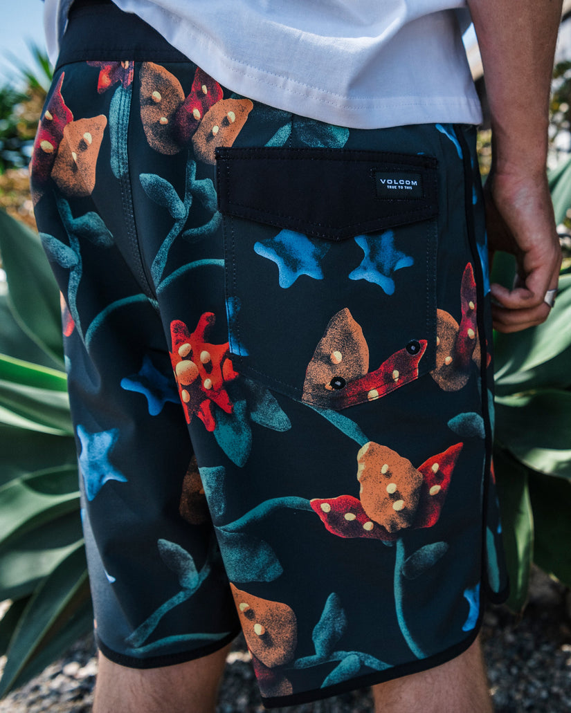 Scallop Mod 19" Boardshort - Multi