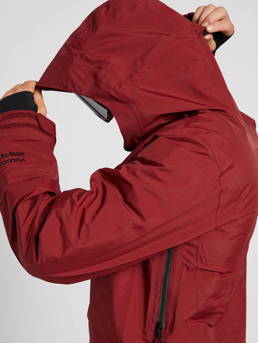 TDS INF GORE-TEX JKT (G0452000_BTR) [5]
