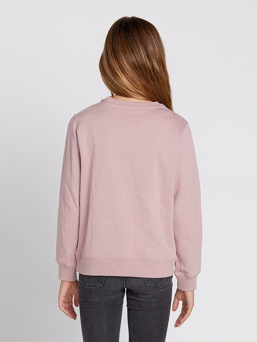 Darting Traffic Sweater - Faded Mauve (B31319Y0_FMV) [B]